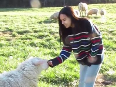 Caryn Marjorie is touching the sheep's face.